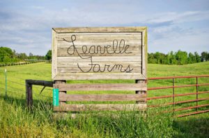 Leavelle Farms