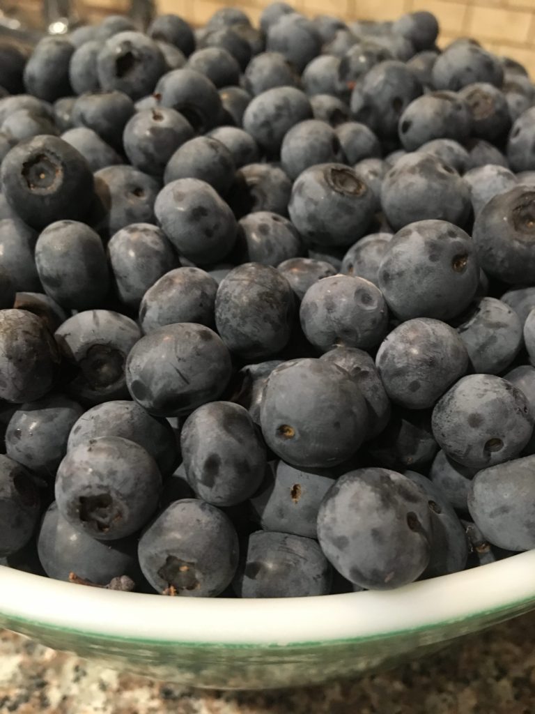 Blueberries picked at Leavelle Farms